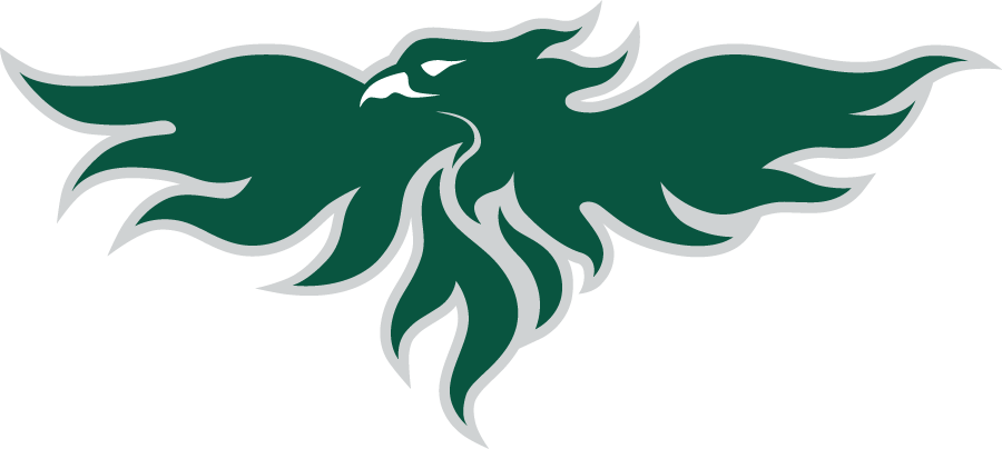Wisconsin-Green Bay Phoenix 2022-Pres Secondary Logo v2 diy iron on heat transfer